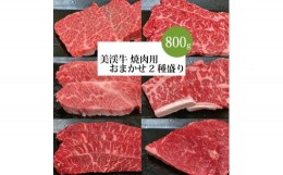 【ふるさと納税】美渓牛 焼肉 おまかせ2種 800g