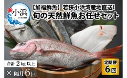 【ふるさと納税】【定期便】 【全6回(隔月発送)】 【下処理済】 旬の天然鮮魚 2kg おまかせ セット 【加福鮮魚】「若狭小浜港産地直送」