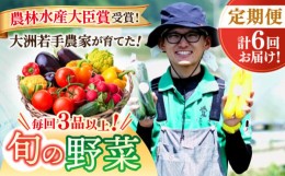 【ふるさと納税】【全6回定期便】生産者の顔が見えるから安心して食べられる！毎回ちがう旬の農産物定期便　愛媛県大洲市/大洲市青年農業