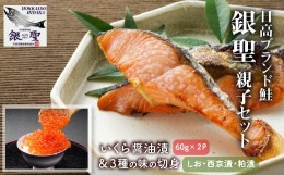 【ふるさと納税】銀聖いくら醤油漬(60g×2P)と鮭3種の味の切身(70g×8袋)[B01-134]