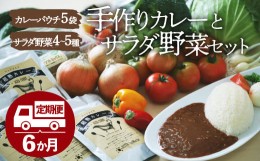 【ふるさと納税】【全6回定期便】有機無農薬サラダ野菜と手作りカレーセット 愛媛県大洲市/有限会社ヒロファミリーフーズ  カレーライス 