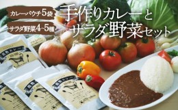 【ふるさと納税】シェフ激選！栽培期間中農薬不使用！旬の野菜と、こだわりの手作りカレーセット 愛媛県大洲市/有限会社ヒロファミリーフ