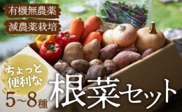 【ふるさと納税】【シェフの目線】あったら嬉しい根菜×おまかせ旬野菜セット　愛媛県大洲市/有限会社ヒロファミリーフーズ [AGBX012]サ