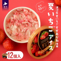 【ふるさと納税】果肉55%「夏いちごアイス(12個)」[22-237]