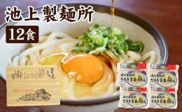 【ふるさと納税】讃岐生うどん12食入（1袋3食入×4袋）＊鎌田醤油だし醤油付＊  池上製麺所監修！｜うどん 生麺