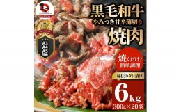 【ふるさと納税】1131-5　とろける黒毛和牛リッチな薄切り焼肉6kg(300g×20P) 秘伝のタレ漬け