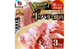 【ふるさと納税】1132-5　やわらか牛ハラミ焼肉 秘伝のタレ漬け3kg(250g×12P)