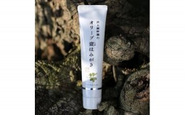 【ふるさと納税】【井上誠耕園】オリーブ塩歯磨き (歯磨き粉)(100g×2本)