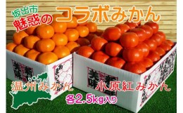 【ふるさと納税】小原紅早生 & 完熟温州 セット 約5kg ( 小原紅早生みかん約2.5kg & 完熟温州みかん約2.5kg ) S 〜 Lサイズ ｜ みかん