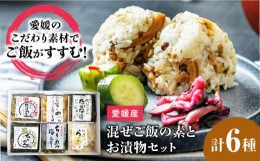 【ふるさと納税】愛媛混ぜご飯の素とお漬物セット　愛媛県大洲市/(有)玉井民友商店 [AGBY006]混ぜご飯の素 お漬物 和食 料理おかず