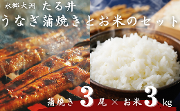 【ふるさと納税】国産うなぎ！秘伝のタレで焼き上げた「うなぎ蒲焼き 3尾」と地元生産者こだわりの「お米 3kg」セット　愛媛県大洲市/有