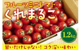 【ふるさと納税】フルーツミニトマト『くれまるこ』1.2kg