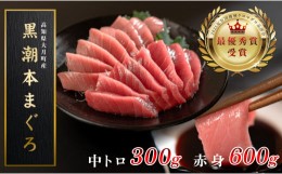 【ふるさと納税】【高知県大月町産 本マグロ】 中トロ・赤身900g