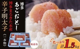 【ふるさと納税】【ギフト用】博多まるきた水産　博多あごおとし1.5kg(一本物300g×5)無着色辛子明太子【明太子 めんたいこ 辛子明太子 