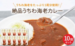 【ふるさと納税】【時間指定 可能】【ウチワエビ1尾分！！】絶品 ウチワエビ カレー（10食セット） [KAA206]