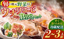 【ふるさと納税】【着日指定 可能】【幻のエビを味わう】ウチワエビBBQセット〜安心の地元野菜付〜 平戸市 / ひらど新鮮市場 [KAB106]