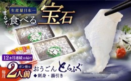 【ふるさと納税】＜全12回定期便＞【高級とらふぐをご家庭で】活〆 おうごん とらふぐ 刺身セット（2人前） 平戸市 / 松永水産 [KAB155]