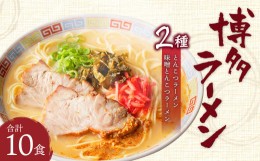 【ふるさと納税】博多ラーメン 10食入り 豚骨 ラーメン 半生極細ストレート麺