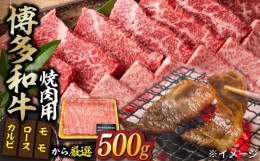 【ふるさと納税】【和牛の旨味を堪能！】博多和牛 焼肉用 500g《築上町》【株式会社MEAT PLUS】 牛肉 BBQ [ABBP012] 17000円 