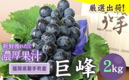 【ふるさと納税】巨峰 2kg (約4〜5房)《8月中旬-9月下旬頃出荷》ぶどう