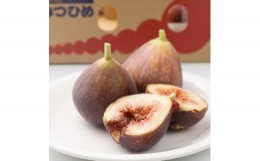 【ふるさと納税】福岡限定!ブランドいちじく「とよみつひめ」約300g×4パック(吉富町)【1232003】