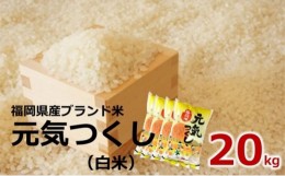 【ふるさと納税】[?5858-0259]【令和4年産】福岡県産 ブランド米「元気つくし」白米 20kg