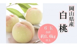 【ふるさと納税】岡山県産 白桃６玉（合計1.6kg以上）（WFH）/　関連するキーワード 岡山の白桃 ロイヤル 岡山 人気  岡山ロイヤル 清水