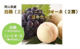 【ふるさと納税】岡山県産フルーツ詰合せ／白桃２玉（１玉220g以上）・ニューピオーネ２房（１房480g以上）（WFH）