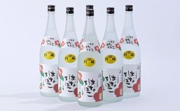 【ふるさと納税】球磨焼酎 はなてばこ 1.8L 6本セット