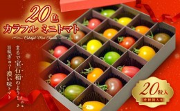 【ふるさと納税】20色 カラフル ミニトマト 20粒 トマト 完熟
