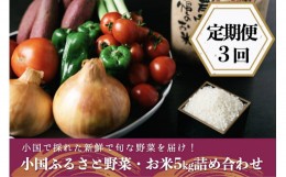 【ふるさと納税】【定期便3回】阿蘇小国産・旬の野菜とお米5kgの詰め合わせ