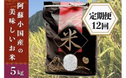 【ふるさと納税】【定期便12回】阿蘇小国産の美味しいお米5kg