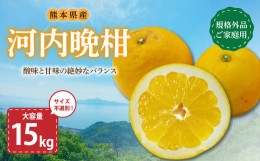 【ふるさと納税】【2024年3月下旬発送】【規格外品】河内晩柑 ご家庭用 15kg  サイズ不選別 柑橘 晩柑