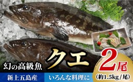 【ふるさと納税】【幻の超高級魚をご家庭で】 養殖 クエ まるごと 1.5kg×2尾【豊建設株式会社】 [RAE003]