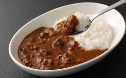 【ふるさと納税】馬スジのカレー 10食 210g×10 計2.1kg 馬肉 カレー