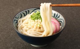 【ふるさと納税】和風 スープ付き うどん 30食 210g×30袋 生タイプ麺