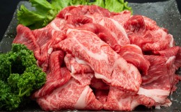 【ふるさと納税】熊本県産 A5等級 黒毛和牛 和王 赤身肉【訳あり】小間切れ 400g×2P 計800g