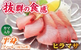 【ふるさと納税】【コリコリ食感がたまらない！】新上五島町産 養殖 ヒラマサ （ヒラス） 片身フィーレ【カミティバリュー】 [RBP007]