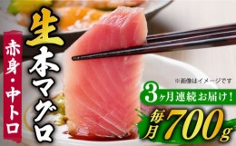 【ふるさと納税】【全3回定期便】【ながさき水産業大賞受賞！！】五島列島産 養殖 生本かみまぐろ 赤身 中トロ ブロック 計約700g【カミ