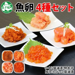 【ふるさと納税】2957. 魚卵 食べ比べ 4種 計600g 鱈子 明太子 いくら とびっこ 送料無料 北海道 弟子屈町