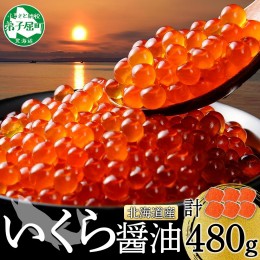 【ふるさと納税】1310. いくら醤油漬け 80g×6個 いくら イクラ 魚卵 魚介 海鮮 送料無料 北海道 弟子屈町