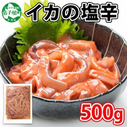 【ふるさと納税】442. いかの塩辛 500g いか イカ 烏賊 おつまみ 魚介 海鮮 送料無料 北海道 弟子屈町