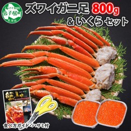 【ふるさと納税】2046.ズワイガニ足 800g いくら醤油漬け 80g×2個 専用ハサミ付 ズワイガニ ずわいがに カニ かに 蟹 いくら イクラ 送