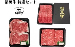 【ふるさと納税】都萬牛 黒毛和牛特選セット 牛肉 すき焼き・焼肉・ステーキ三昧 牛肉 すき焼肉  ＜5-3＞