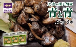 【ふるさと納税】【ふるさと納税】天空の柚子胡椒（ゆずこしょう）「青と青」35ｇ入り×3本セット 　テレビ「満天☆青空レストラン」放映