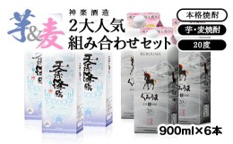 【ふるさと納税】神楽酒造　2大人気組み合わせセット　「くろうま」「天孫降臨」＜1.7-23＞