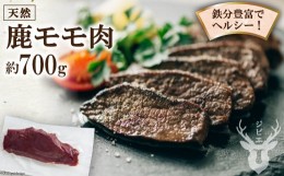 【ふるさと納税】熊本県五木村産　鹿モモ肉 約700g ／ ジビエ 紅葉 もみじ 低カロリー 熊本県 特産＜日添＞【熊本県五木村】