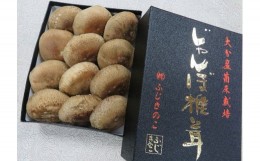 【ふるさと納税】A-32 ふじきのこ厳選ジャンボ椎茸( 生しいたけ ) / 椎茸 しいたけ 贈答用 箱入り 贈答 贈り物