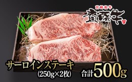 【ふるさと納税】宮崎和牛サーロインステーキ 250g×2枚 500g 齋藤牛 牛肉 ステーキ ＜4.3-3＞