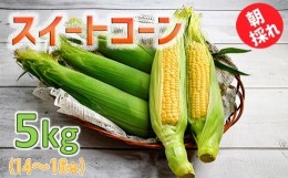 【ふるさと納税】朝どれスイートコーン ゴールドラッシュ5kg 農産物直売所『新鮮市場いろどり』【2024年発送】とうもろこし＜1-209＞【6